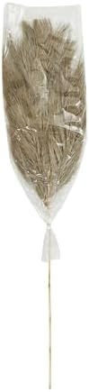 Deco 79 Dried Palm Leaf Decor Natural Foliage