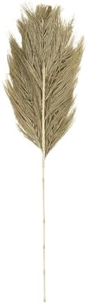 Deco 79 Dried Palm Leaf Decor Natural Foliage