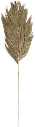 Deco 79 Dried Palm Leaf Decor Natural Foliage