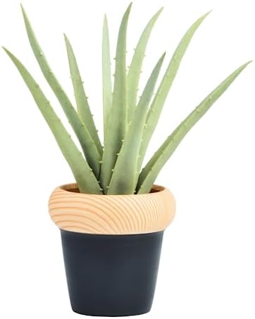 Artificial Agave Plant in Decorative Pot