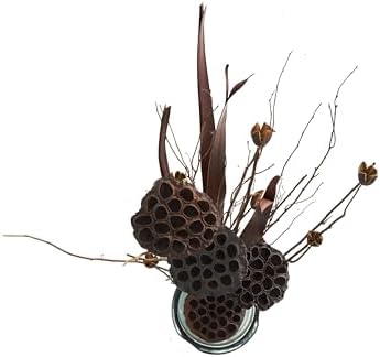 Deco 79 Dried Lotus Flower Decor