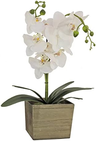 National Tree Company Artificial Orchid Bouquet White 21 Inches