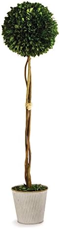 Napa Home Garden 26 Inch Single Ball Topiary in GLV Pot