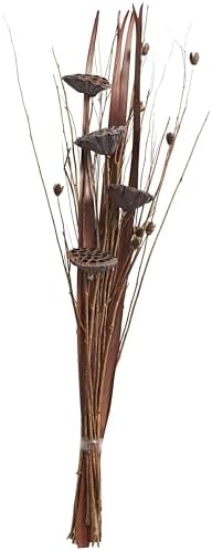 Deco 79 Dried Lotus Flower Decor