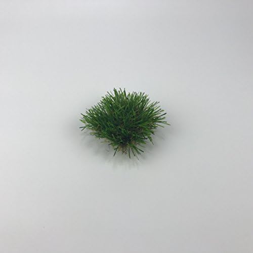 Mini Plastic Artificial Weeds Tufts DIY Fake Grass Clusters Autumn 12PCS