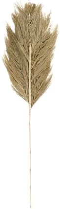 Deco 79 Dried Palm Leaf Decor Natural Foliage