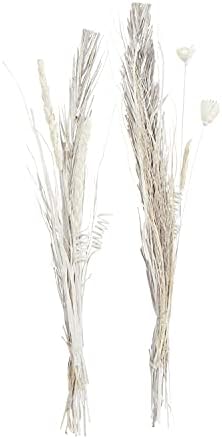 Deco 79 Dried Pigeon Pea Tall Sticks Natural Foliage Set of 2