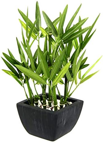Flair Flower Artificial Bamboo Plant in Bowl