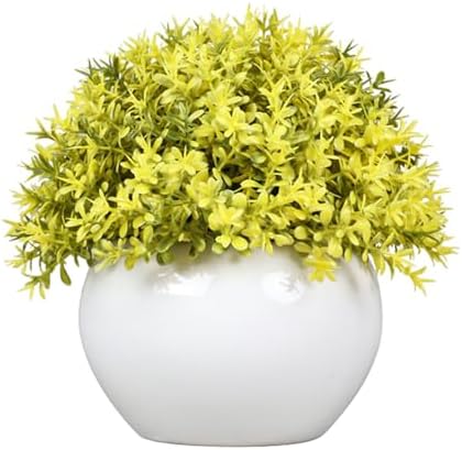 Small Green Potted Boxwood Topiary with Ceramic Pot