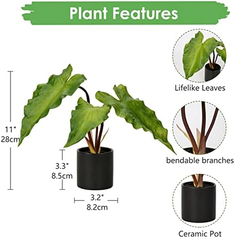 Hollyone Realistic Fake Caladium Plants in Black Ceramic Pots