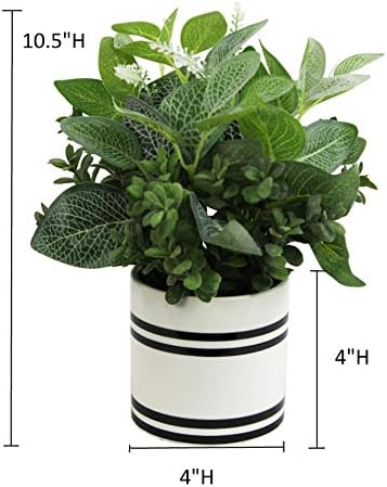 Admired By Nature 10 Inch Artificial Garden Foliage Potted Plant