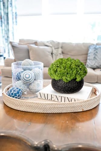Briful Artificial Succulents in Black Ceramic Pots