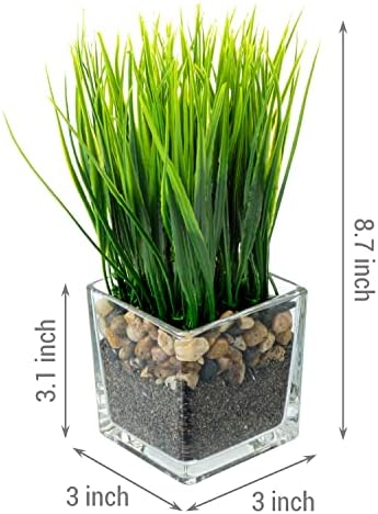 MyGift Artificial Grass Plants in Square Clear Glass Pots Set of 2