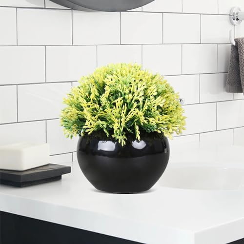 Small Potted Boxwood Topiary with Black Ceramic Pot