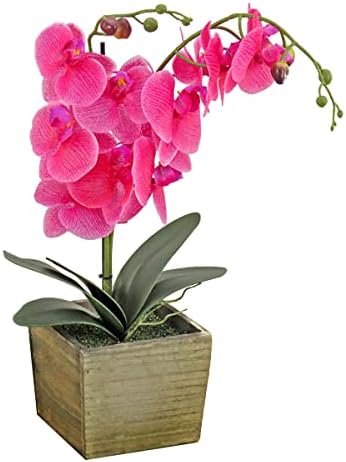 National Tree Company Artificial Orchid Bouquet with Wood Box