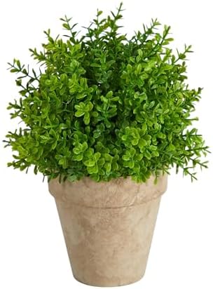 Nearly Natural 8in Boxwood Artificial Plant with Decorative Planter