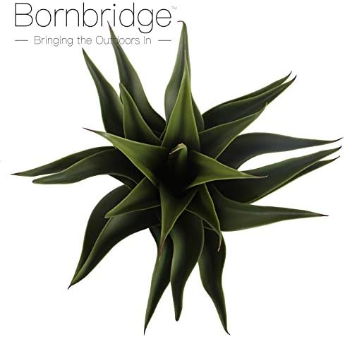 Bornbridge Artificial Agave Plant with Black Ceramic Planter