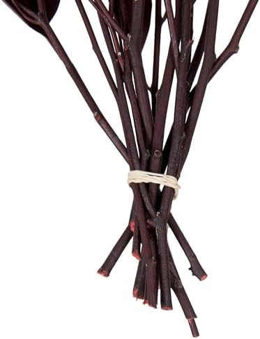 Vickerman 18 In Red Weeping Willow Eucalyptus Bundle