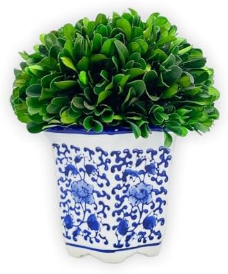 Galt International 7 Inch Preserved Boxwood Ball in Blue White China Pot