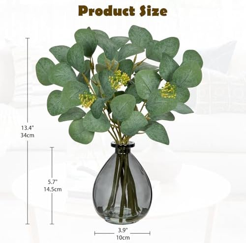 DILATATA Artificial Eucalyptus Stems in Glass Vase with Faux Water
