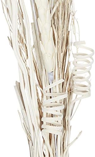 Deco 79 Dried Pigeon Pea Tall Sticks Natural Foliage Set of 2