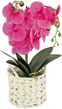 National Tree Company Artificial Orchid Bouquet with Basket