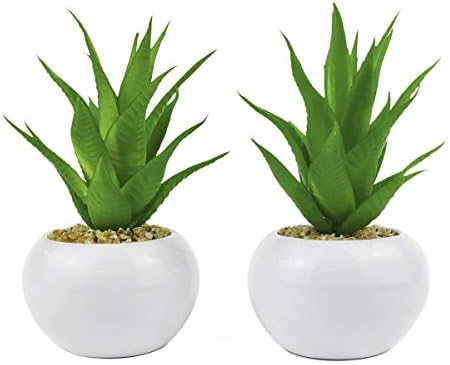 TUOKOR Artificial Aloe Plants in Ceramic Pots 2 Pack