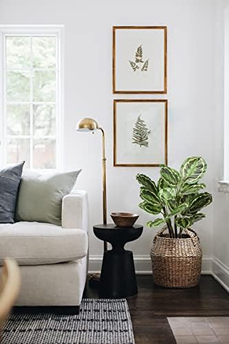 Briful 248 In Artificial Calathea Plant