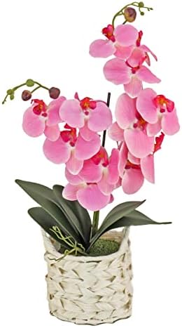 National Tree Company Artificial Orchid Bouquet with Basket 1