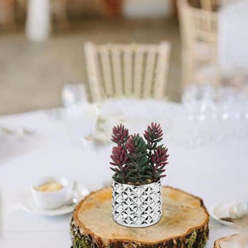 Briful Artificial Succulents in Silver Glass Pots