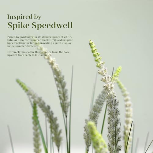 KOL 4ft Artificial Veronica Spiked Speedwell Grass