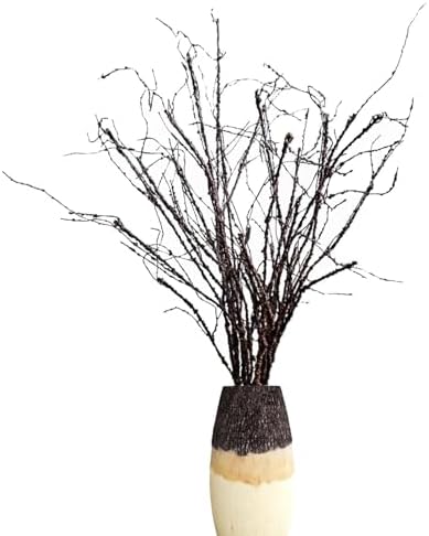 Eiyye 10PCS Curly Willow Branches Artificial Decor