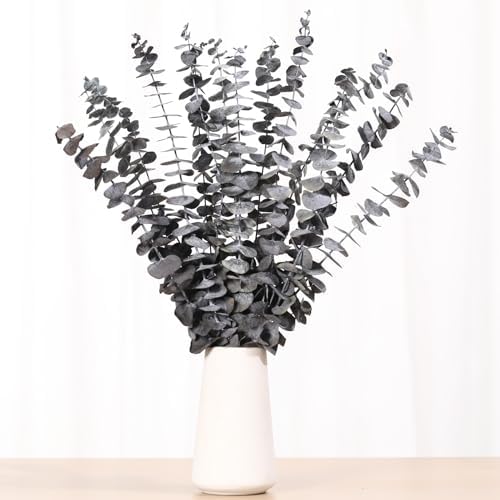 16 Pcs Dried Eucalyptus Stems Natural Hanging Shower Decor