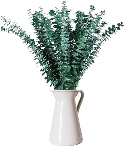 EOBTAIN Dried Eucalyptus Stems for Decor