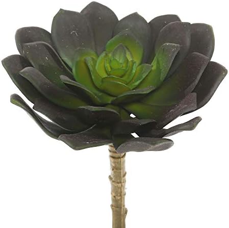 Vickerman Artificial Echeveria Succulent Picks Set of 3