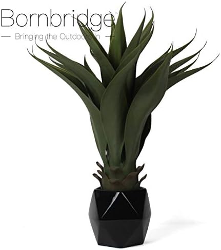 Bornbridge Artificial Agave Plant with Black Ceramic Planter