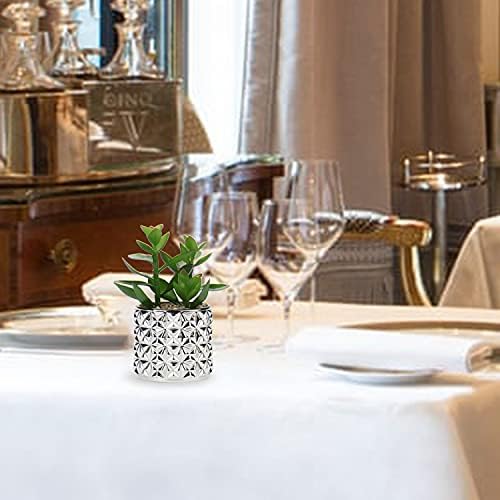 Briful Small Artificial Succulents with Silver Glass Pots 3 Pack