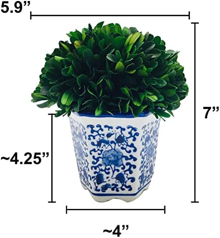 Galt International 7 Inch Preserved Boxwood Ball in Blue White China Pot