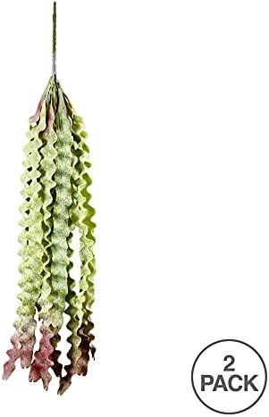 Vickerman Artificial Green Seatangle Plant 22 Inch 2 Pack