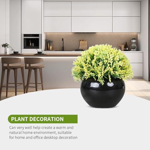 Small Potted Boxwood Topiary with Black Ceramic Pot
