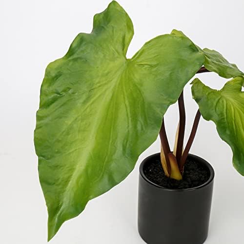 Hollyone Realistic Fake Caladium Plants in Black Ceramic Pots