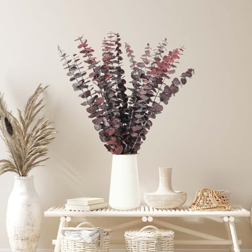 16 Pcs Dried Eucalyptus Stems Natural Hanging Shower Decor