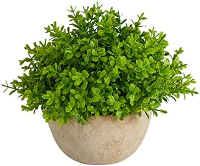 Nearly Natural 5in Boxwood Artificial Plant in Decorative Planter