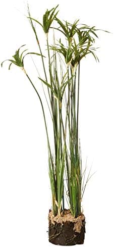Nearly Natural Papyrus Plant with Faux Soil