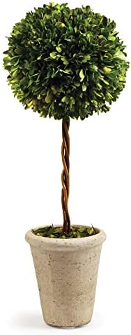 Traditional Garden Preserved Boxwood Single Ball 25 Inch