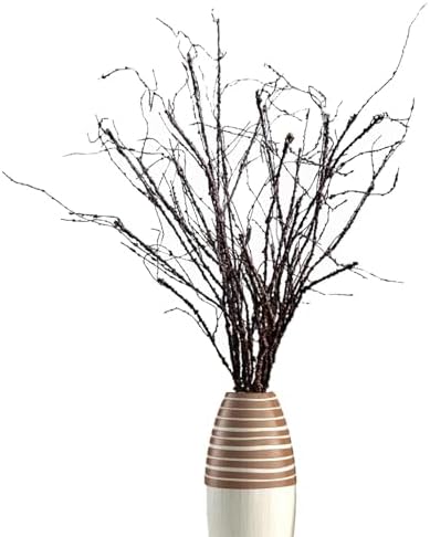Eiyye 10PCS Curly Willow Branches Artificial Decor