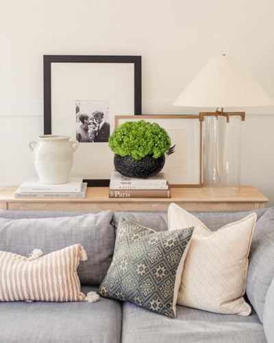 Briful Artificial Succulents in Black Ceramic Pots