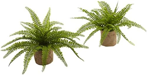Nearly Natural Boston Fern with Burlap Planter Set of 2