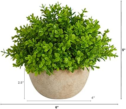 Nearly Natural 5in Boxwood Artificial Plant in Decorative Planter