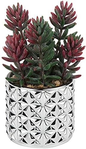 Briful Small Artificial Succulents with Silver Glass Pots 3 Pack